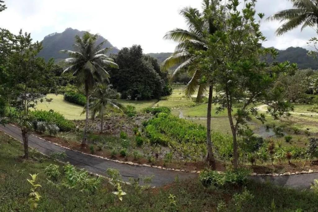 Duplex En Bord De Mer Fare Tahitea Pension Taputapuapea Exterior photo